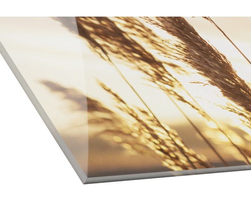 Acrylglasfoto met gras motief