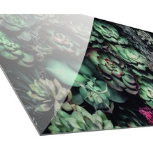 Decoratieve plaat met succulentenpatroon