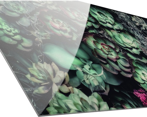 Decoratieve plaat met succulentenpatroon