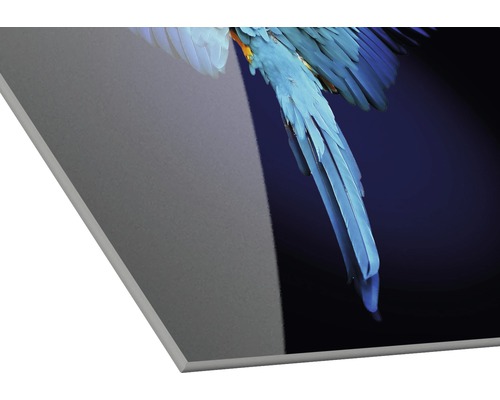 Acrylglasfoto met ara-motief