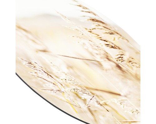 Decoratief gras op een ronde ondergrond