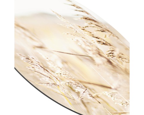 Decoratieve afbeelding van grassprieten