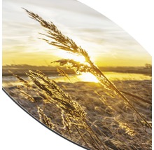 Decoratieve afbeelding met grassen en zonsopgang