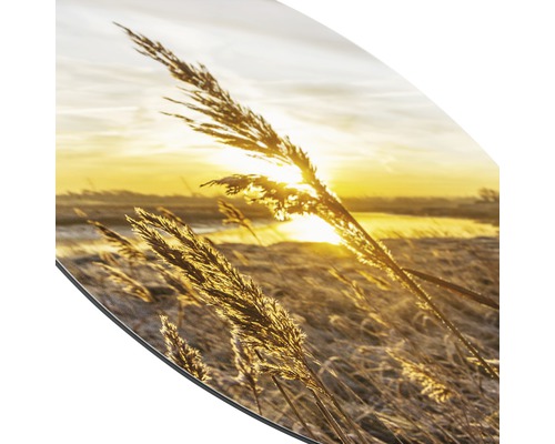 Decoratieve afbeelding met grassen en zonsopgang