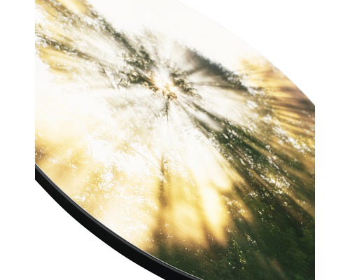 Detailopname van een ronde keukenachterwand met bosmotief