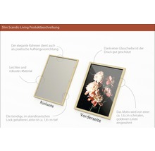 Slim Scandic-Living fotolijst met glazen afdekking en ophangrichting