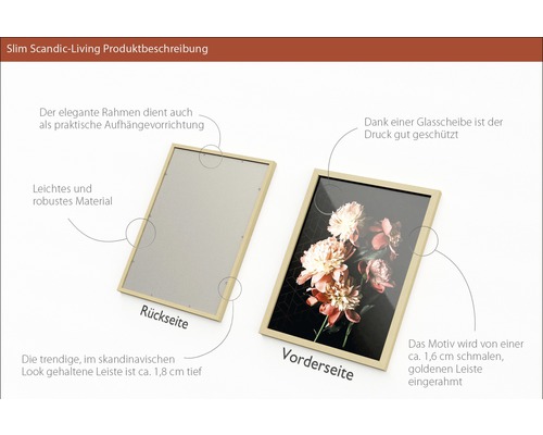 Slim Scandic-Living fotolijst met glazen afdekking en ophangrichting
