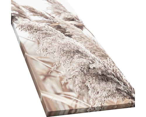 Decoratief canvas met grassen