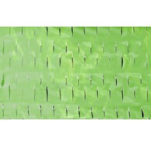 FLORASELF Tomatenfolie Ø 65 x 125 cm 5 st.