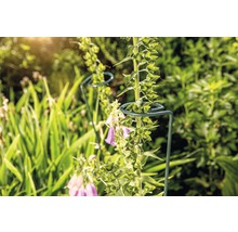FLORASELF Plantenhouder groen Ø 7 cm H 90 cm