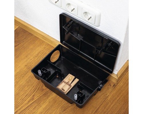 Open muizenval in een zwarte lokdoos op een houten vloer