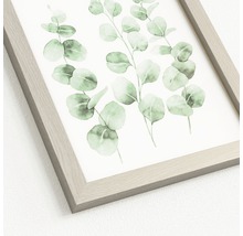 Ingelijste kunstdruk met eucalyptusmotief