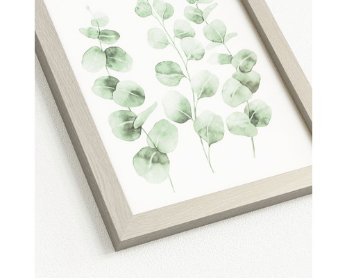 Ingelijste kunstdruk met eucalyptusmotief
