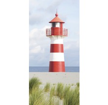 Vuurtoren op een duin met begroeiing