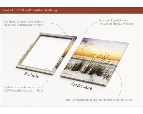 Canvas schilderij 50x50 cm met achterframe van MDF materiaal