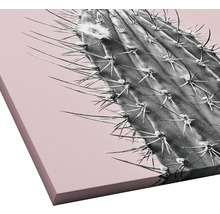 Close-up van een cactus op canvas