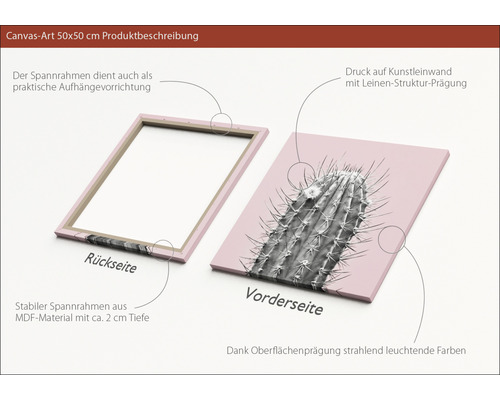 Canvas schilderij 50x50 cm met cactusmotief en MDF frame