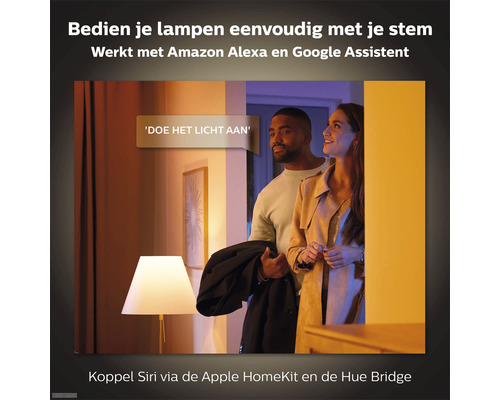 Scène met domotica voor spraakbesturing van lampen.