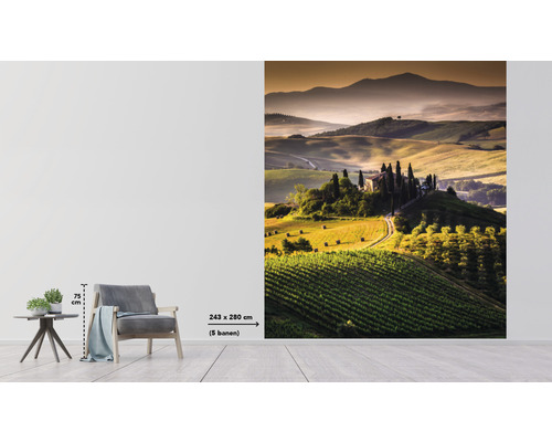 Fotobehang met Toscaans landschap en boerderij, afmeting 243x280 cm