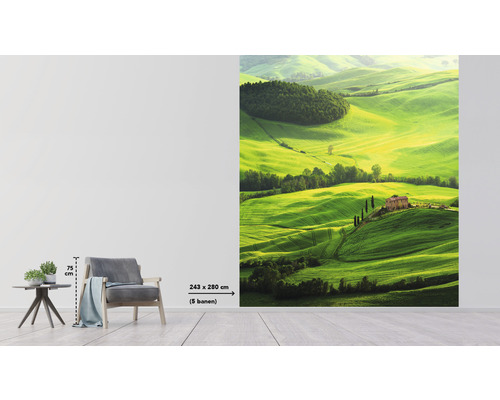 Fotobehang met landschapsmotief van een groen heuvellandschap met huizen, formaat 243 bij 280 centimeter