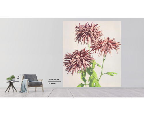 Scene met een fotobehang met bloemmotief in de kamer, afmetingen 243 bij 280 centimeter