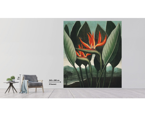 Fotobehang met paradijsvogelbloemmotief in een lichte ruimte