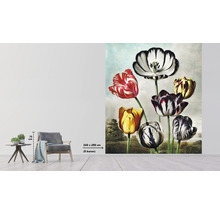 Fotobehang met tulpenmotief in de woonkamer, afmeting 243 bij 280 centimeter