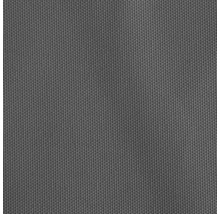 WINDHAGER Schaduwdoek Cannes rechthoek antraciet 300x400 cm