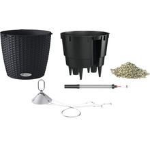 Lechuza Classico 43 plantenbakset met accessoires