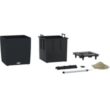Complete set plantenbak met accessoires