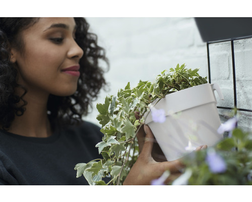 Vrouw met een pot klimop aan een muurbeugel
