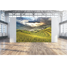 SPECIAL DECORATION Wanddoek Sawah 350x250 cm