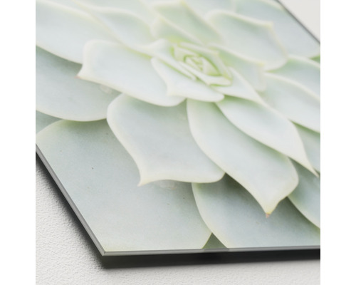 Decoratieve acrylglas foto met succulentenmotief