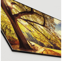 Wanddecoratie met bosmotief en zonlicht