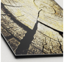 Close-up van een wanddecoratie met boomstam patroon