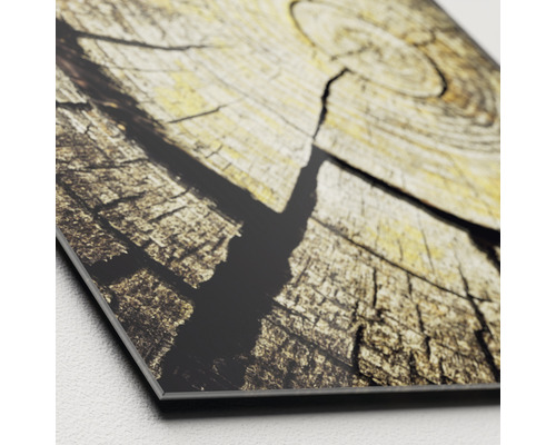 Close-up van een wanddecoratie met boomstam patroon