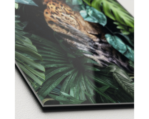Decoratieve glasplaat met jungle en luipaard motief