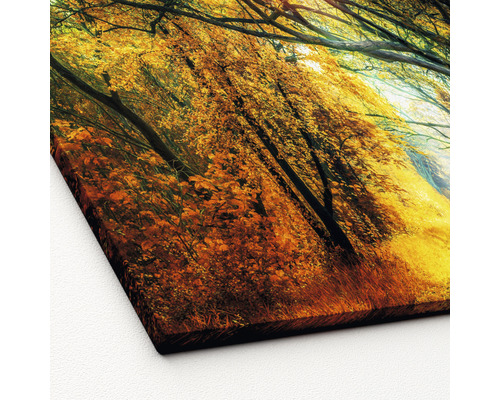 Herfstbosweg als canvas schilderij