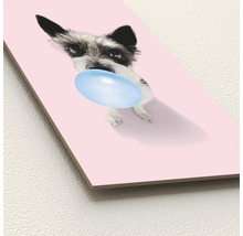 Decoratieve plaat met hond en kauwgombel