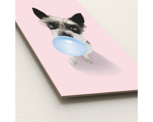 Decoratieve plaat met hond en kauwgombel