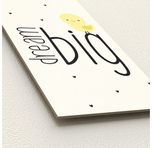 Decoratieve afbeelding met de tekst 'Dream Big' en een illustratie van een kuiken