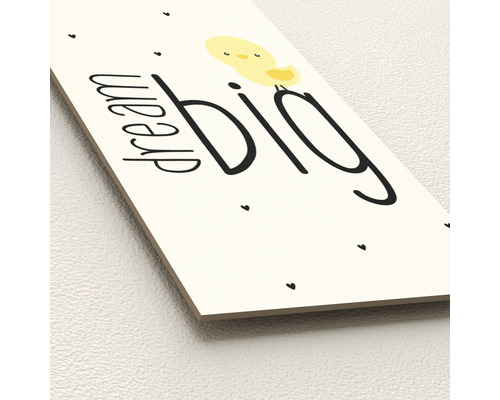 Decoratieve afbeelding met de tekst 'Dream Big' en een illustratie van een kuiken