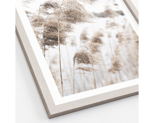 Ingelijste afbeelding met rietmotief