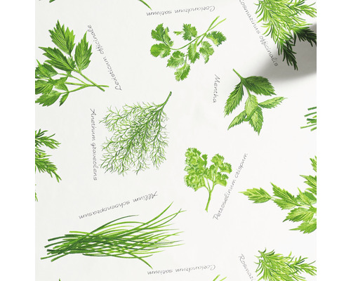 Illustratie van verschillende kruiden zoals koriander, dille, peterselie en bieslook