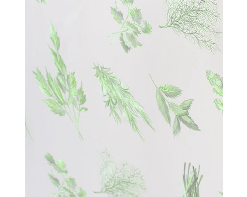 Illustratie van verschillende kruiden