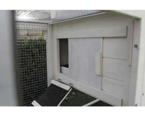 Gedetailleerde weergave van een kippenhok met helling en schuifdeur.