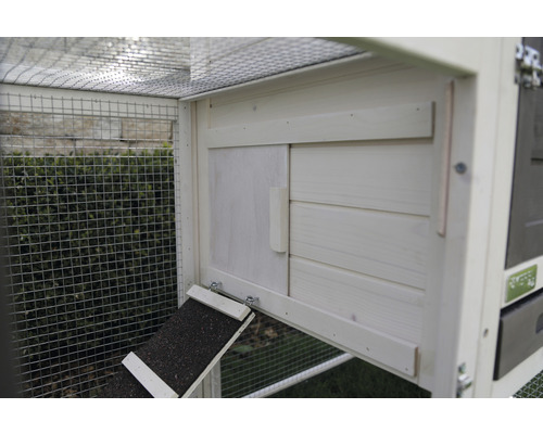 Detailopname van een kippenhok met kippenladder en deur