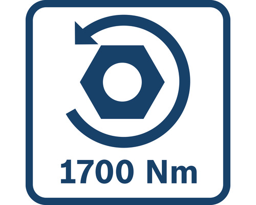 Draaimoment tot 1700 Newtonmeter