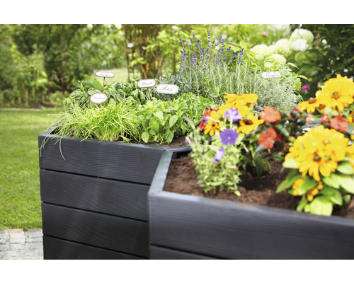 Houten plantenbak gevuld met kruiden en bloemen in de tuin.