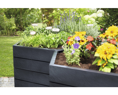 Houten plantenbak met kruiden en bloemen